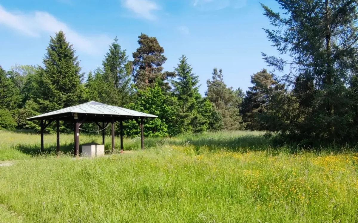 Парк Гостиварж