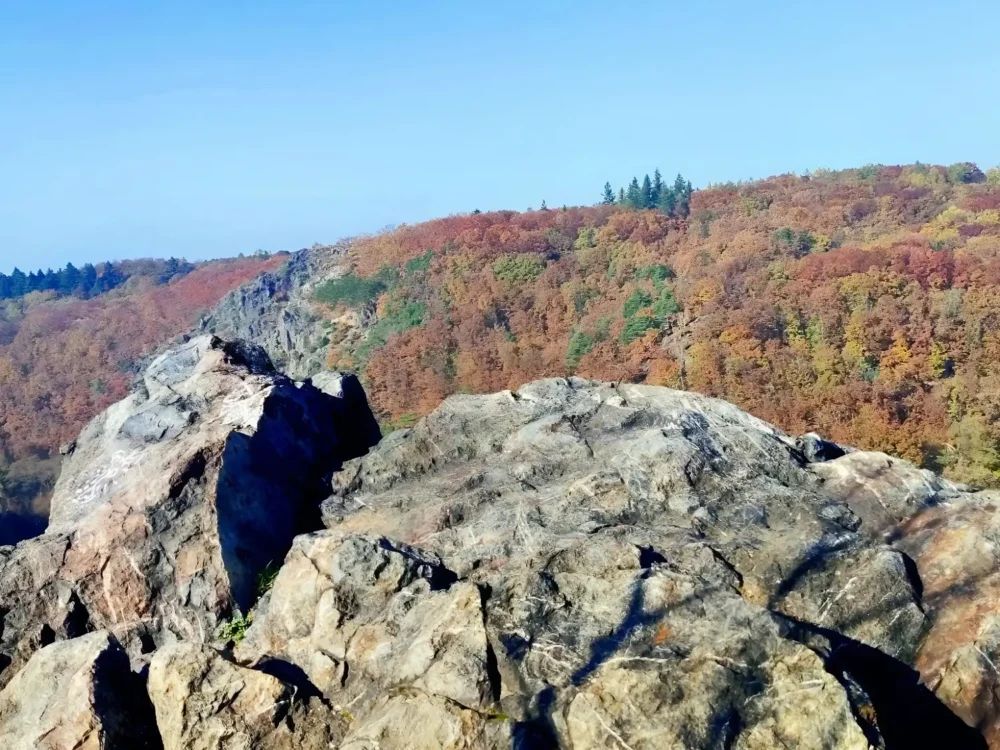 панорама осеннего леса с вершины скалы в Дивока Шарка