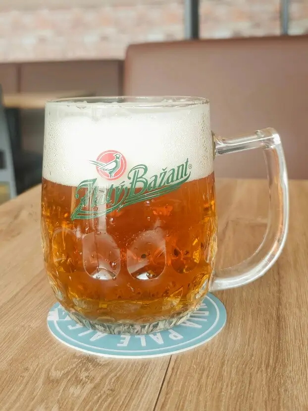 Пивоварни (пивовары) Праги полная кружка светлого пива Zlatý Bažant с пышной пеной на деревянном столе в пражском ресторане