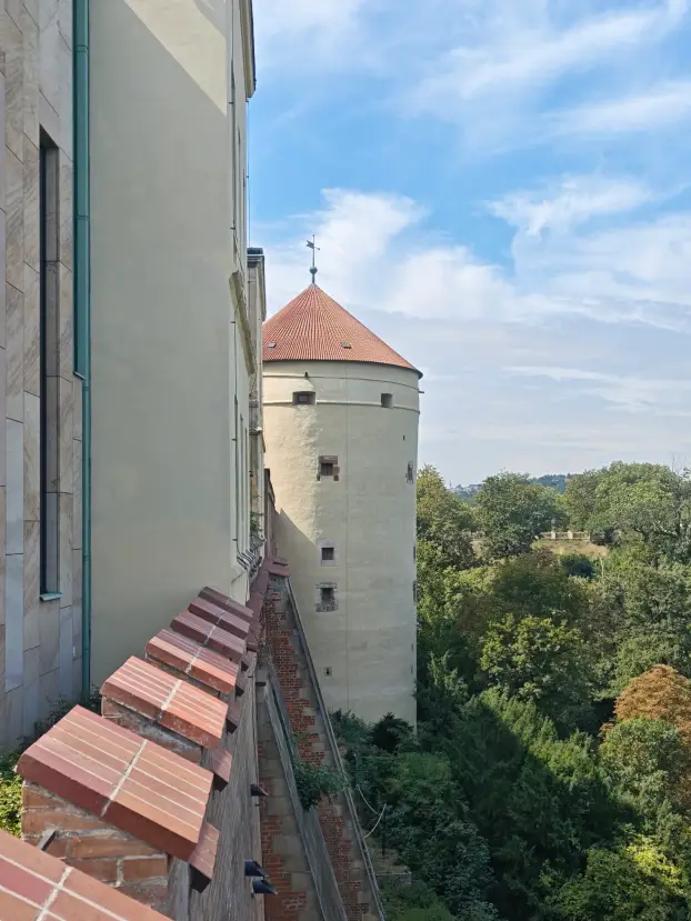 Старинная крепостная стена Праги на фоне леса